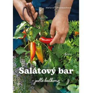 Salátový bar -  Melanie Öhlenbach