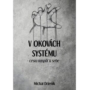 V okovách systému -  Michal Drienik