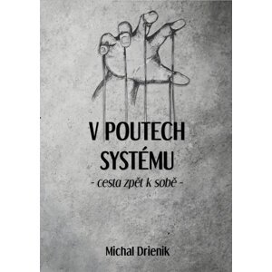 V poutech systému -  Michal Drienik