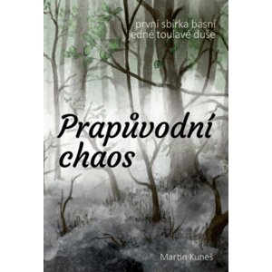 Prapůvodní chaos -  Martin Kuneš