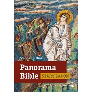 Panorama Bible Starý zákon -  Stephen J. Binz