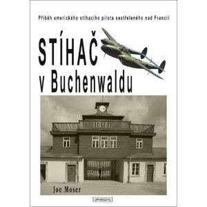Stíhač v Buchenwaldu -  Joseph F. Moser
