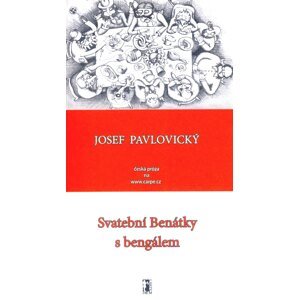 Svatební Benátky s bengálem -  Josef Pavlovický